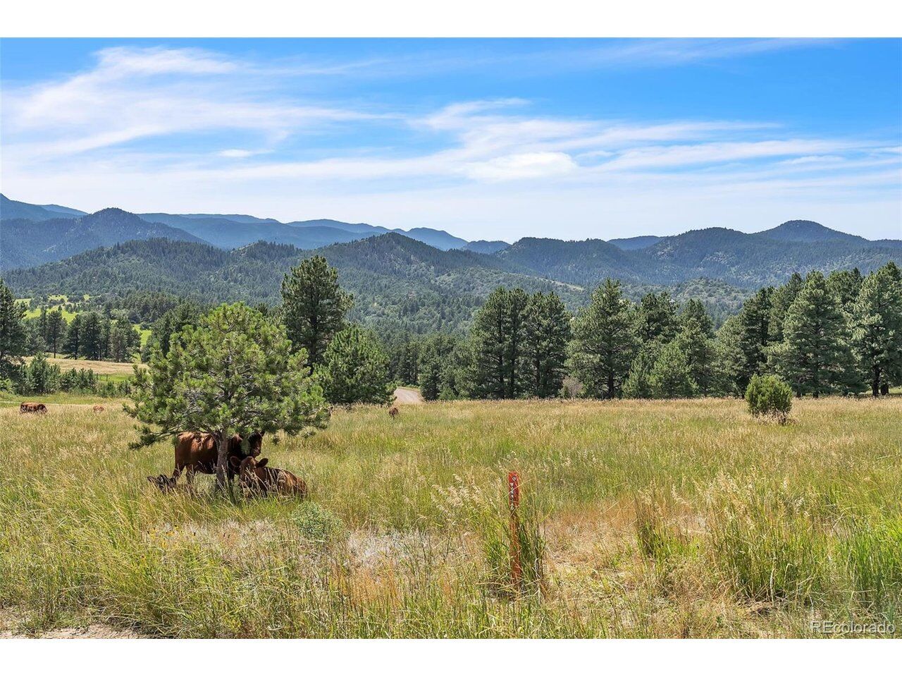 Property Photo:  Beulah Highlands Rd  CO 81023 
