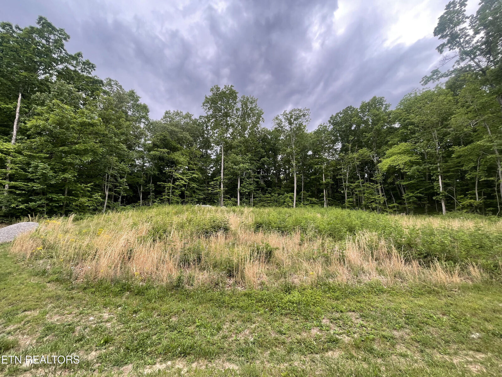 Property Photo: Willow Ridge Drive TN 38571