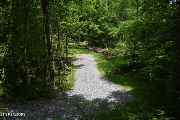 Property Photo: Shady Valley Rd VA 24248