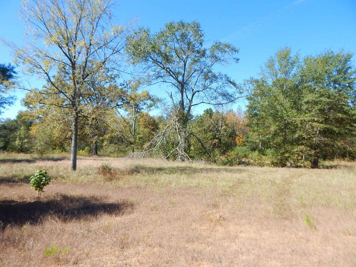 Property Photo:  Tbd 3.5 Acres Hwy 155  TX 75644 