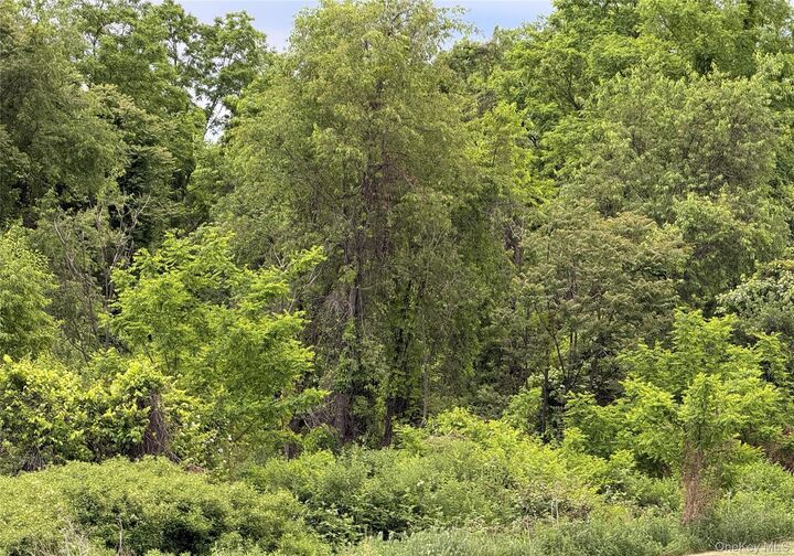 Property Photo:  Tbd Hawleys Corners  NY 12528 