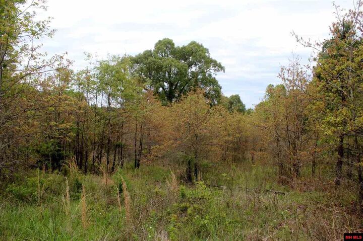 Property Photo: Lot 25 Farmer Circle AR 72653
