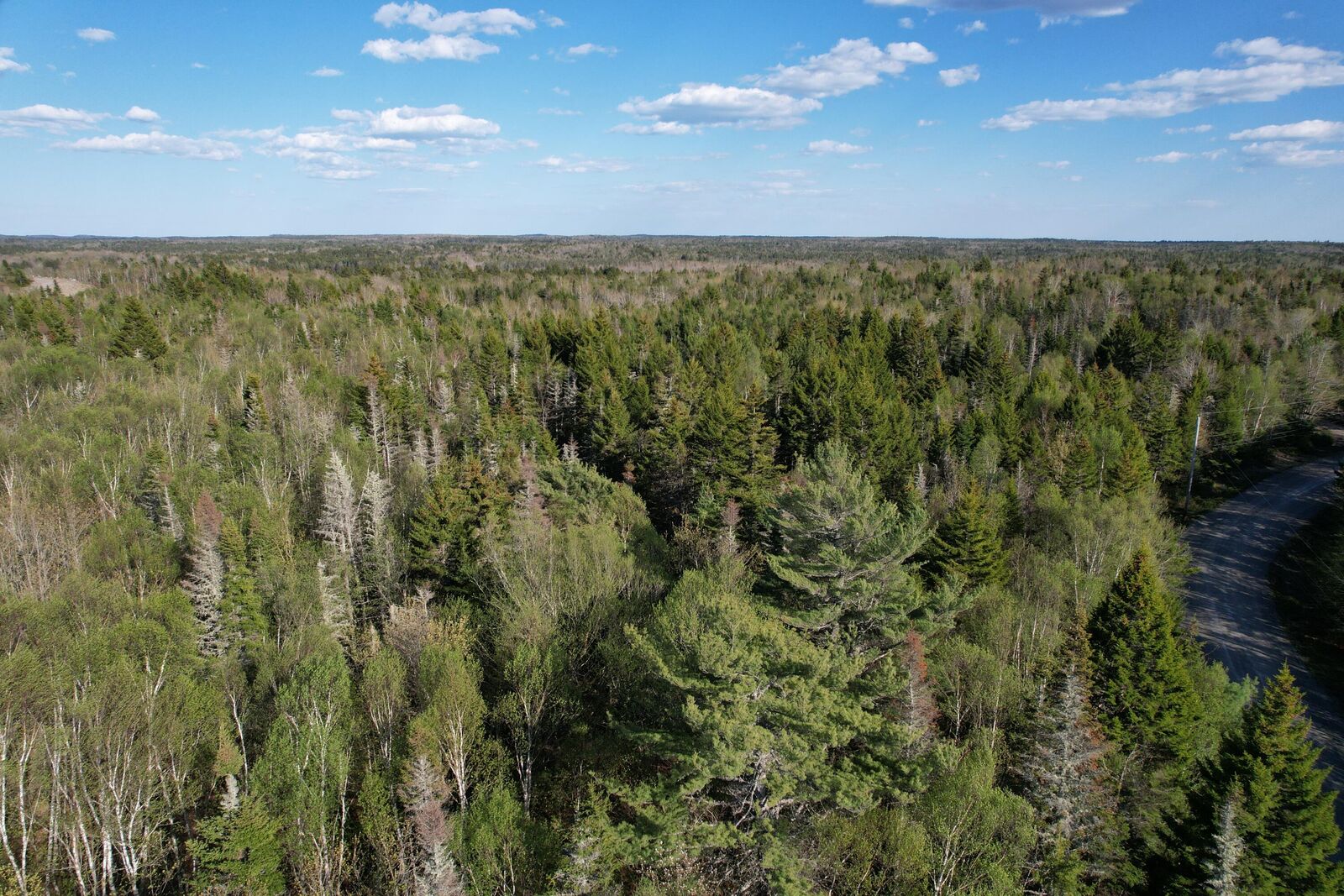 Property Photo: Lot 009 Off Of Reynolds Brook Road ME 04691