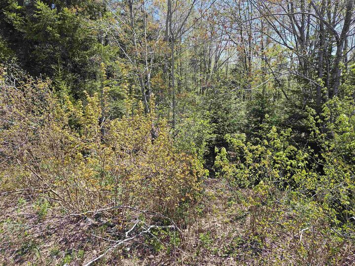 Property Photo: 720 Lucasville Road NS B4B 1R9