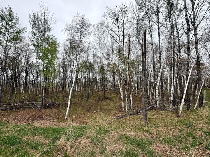Property Photo:  L18b1 Acorn Ridge Road NW  MN 56601 