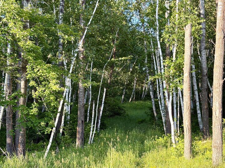 Property Photo: L18b1 Acorn Ridge Road NW MN 56601
