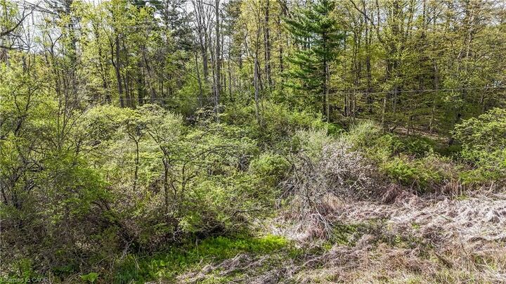 Property Photo:  0 Mineral Springs Road  ON L9H 5E3 