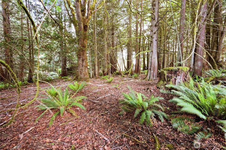 Property Photo: 0 Rainier Lane WA 98365