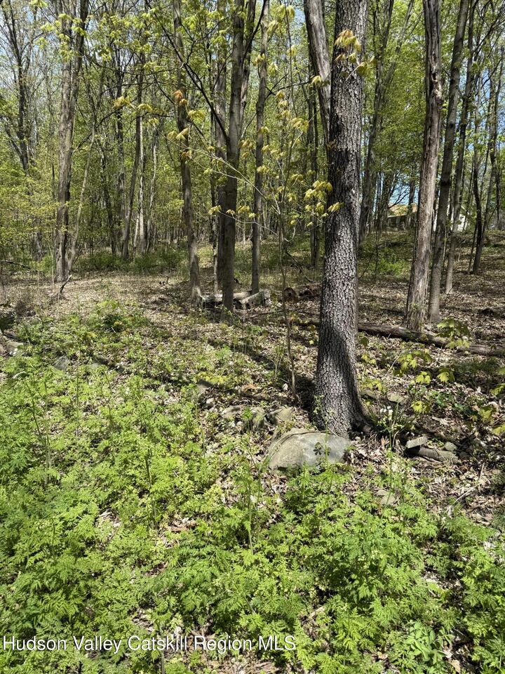 Property Photo:  120 Floyd Ackert  NY 12493 