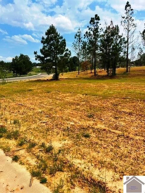 Property Photo:  295 Hidden Valley Dr  KY 42003 