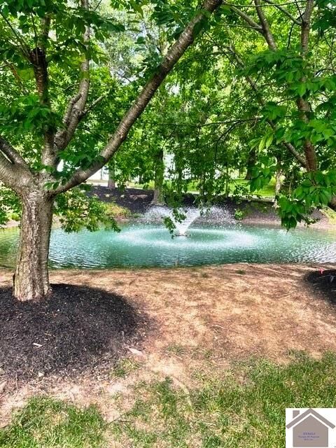 Property Photo: 295 Hidden Valley Dr KY 42003