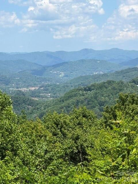 Property Photo:  105 Dotsu Trail  NC 28751 