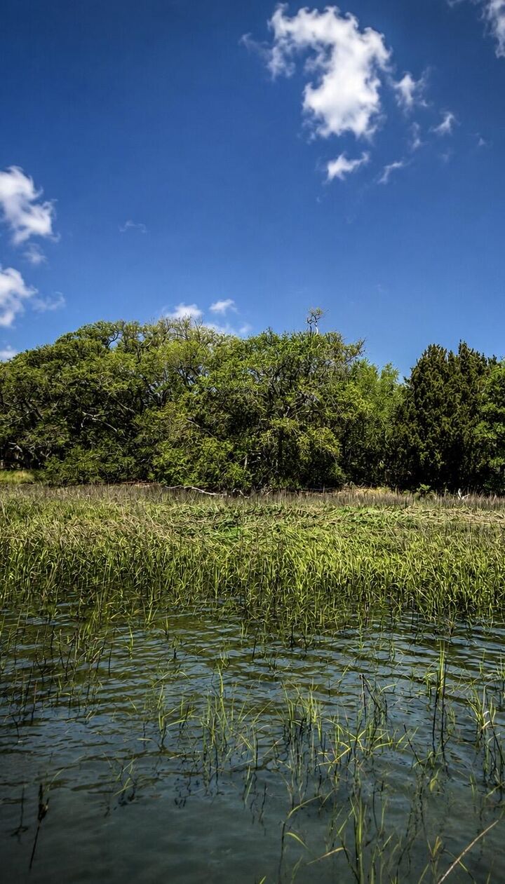 Property Photo: 4001 Buccaneer Road SC 29451