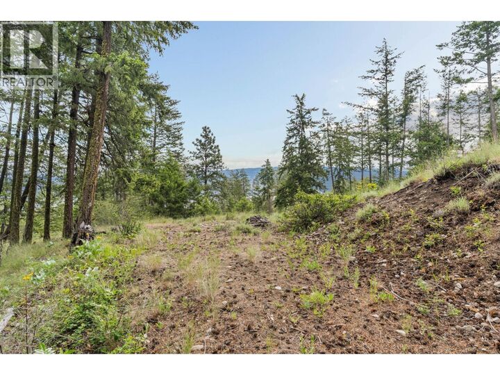 Property Photo:  7801 Alpine Road  BC V1Z 3V4 