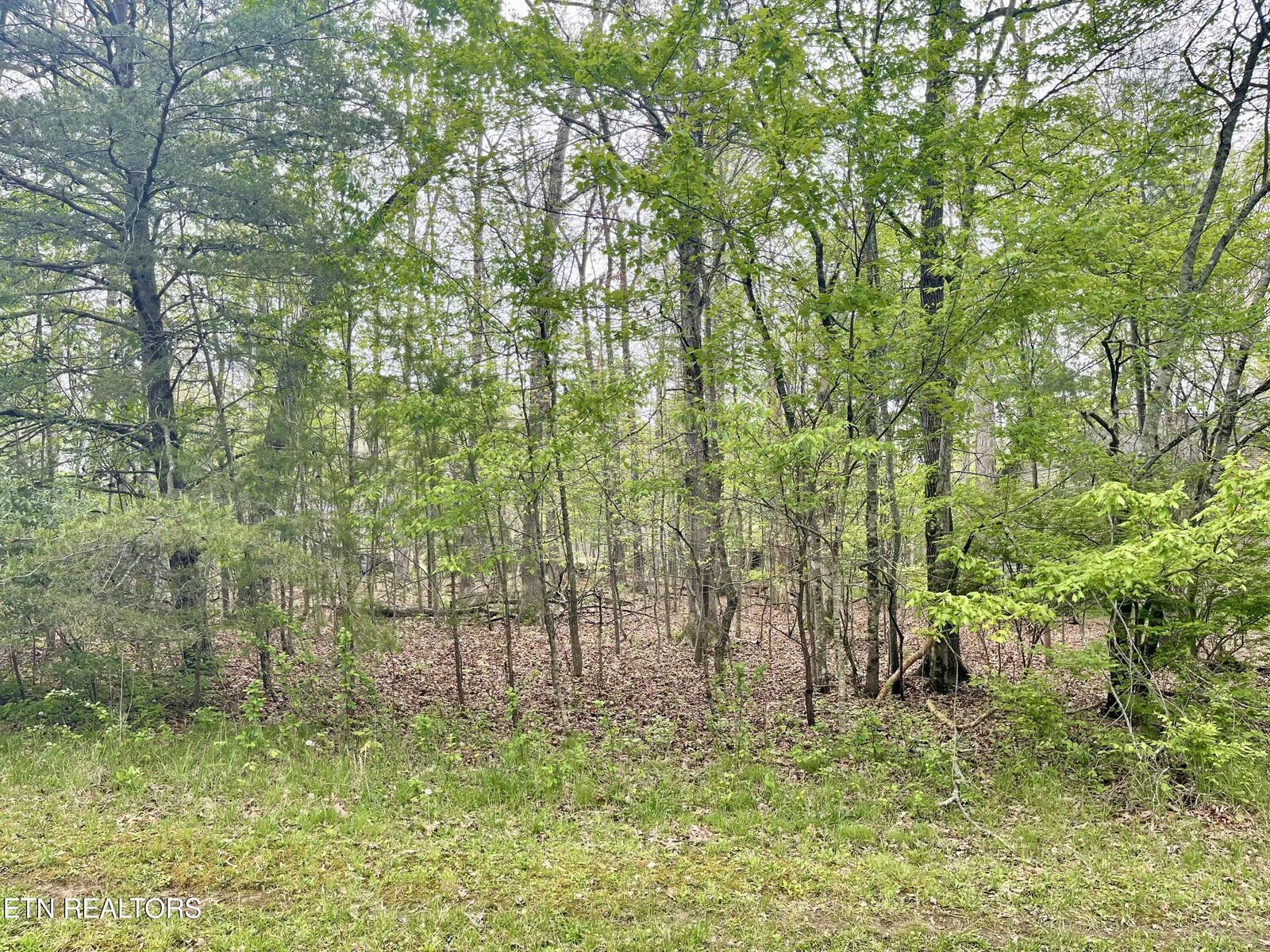 Property Photo:  111 Rutgers Circle  TN 38558 