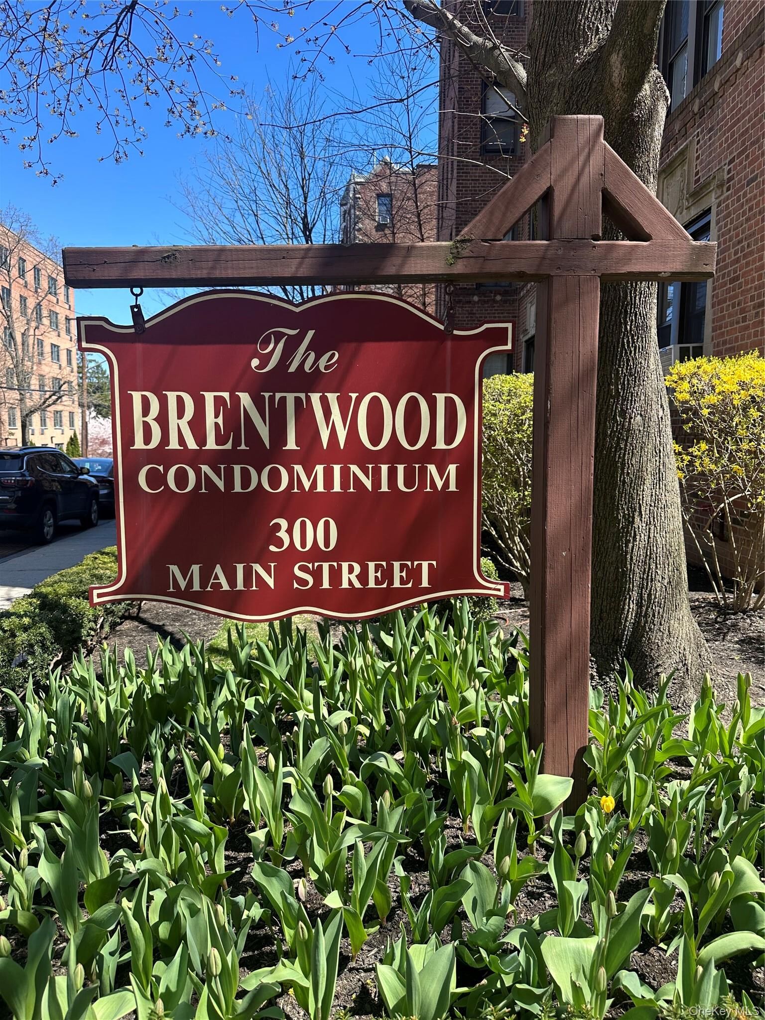 Property Photo:  300 Main Street 6K  NY 10601 