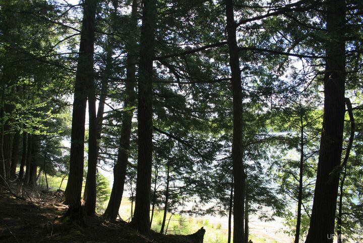 Property Photo: Tbd Smoky Lake Road MI 49935