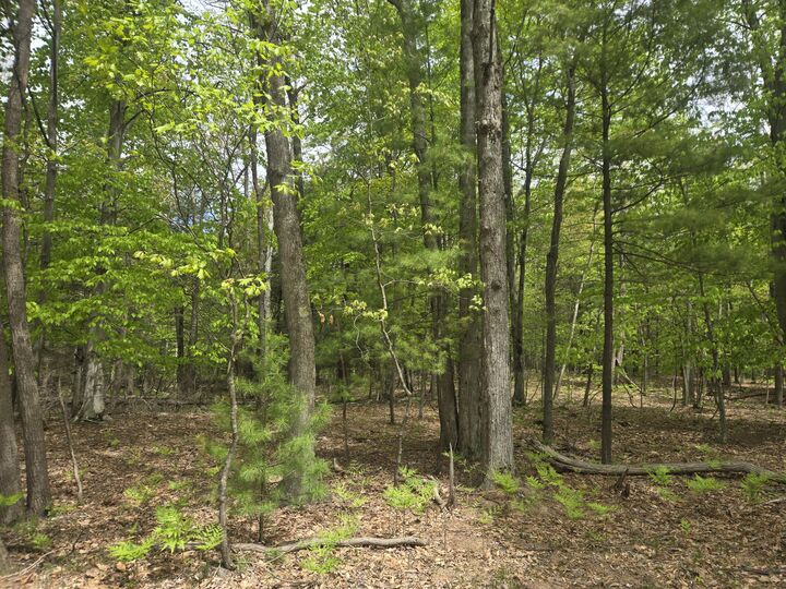 Property Photo:  Vl N Ridge Road  MI 49436 