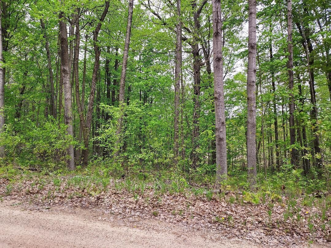 Property Photo:  00 Buck Lane  MI 48625 