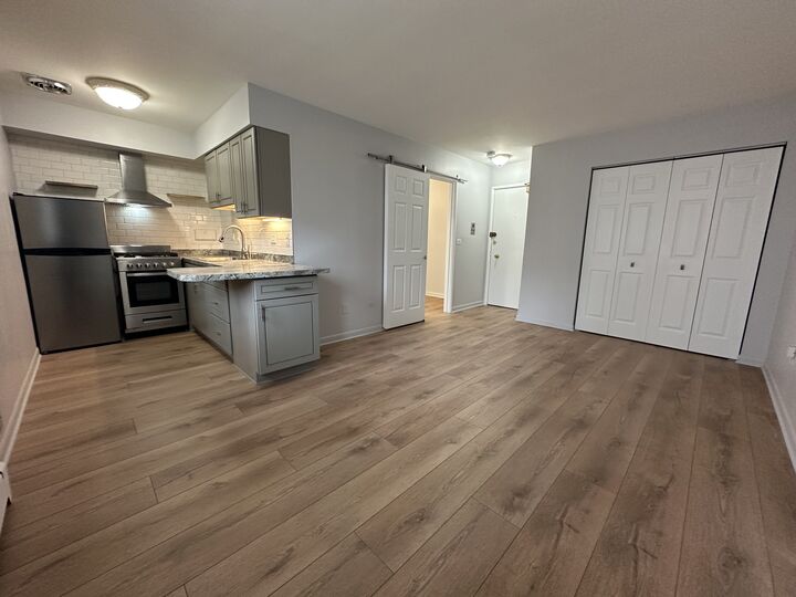 Property Photo: 2629 N Hampden Court 213 IL 60614