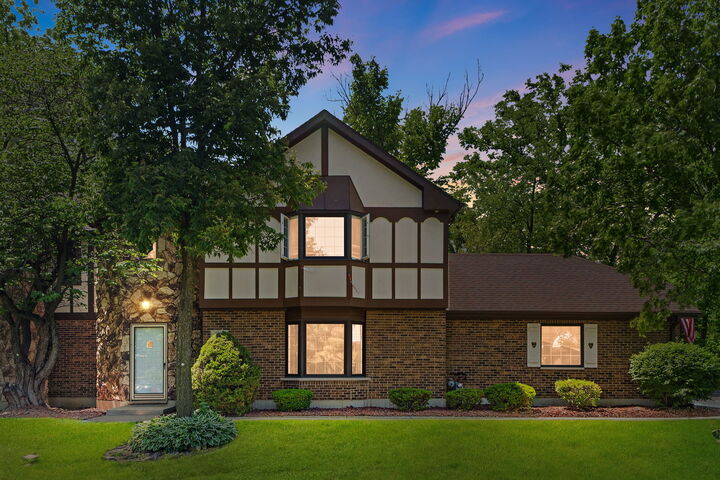 Property Photo: 11716 S Black Forest Lane IL 60464