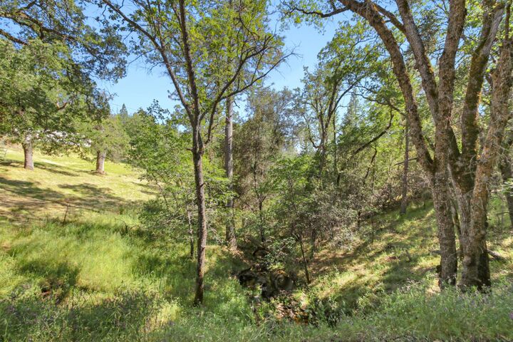 Property Photo: 0 Hoot Owl Ravine Road CA 95667