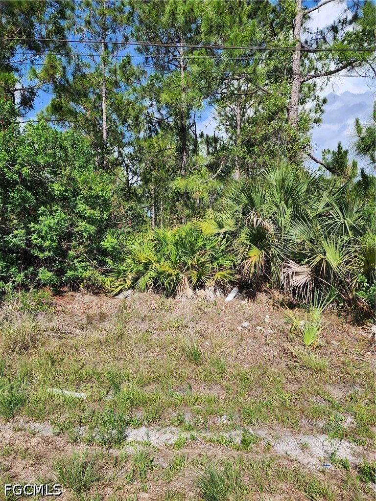 Property Photo:  1016 Rush Avenue  FL 33972 