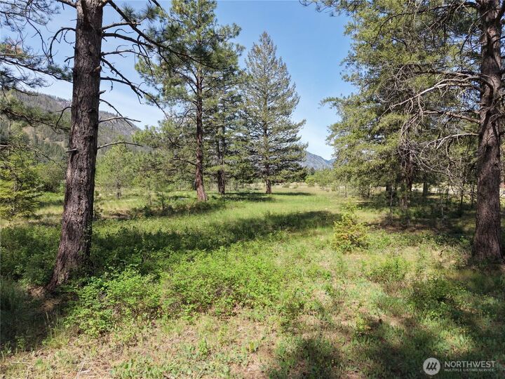 Property Photo:  4  Mazama Meadows Lane  WA 98833 