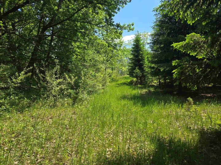 Property Photo:  N6219 Sunnyside Road  WI 54941 