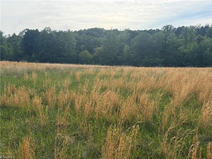 Property Photo:  00 Amostown Road  NC 27046 