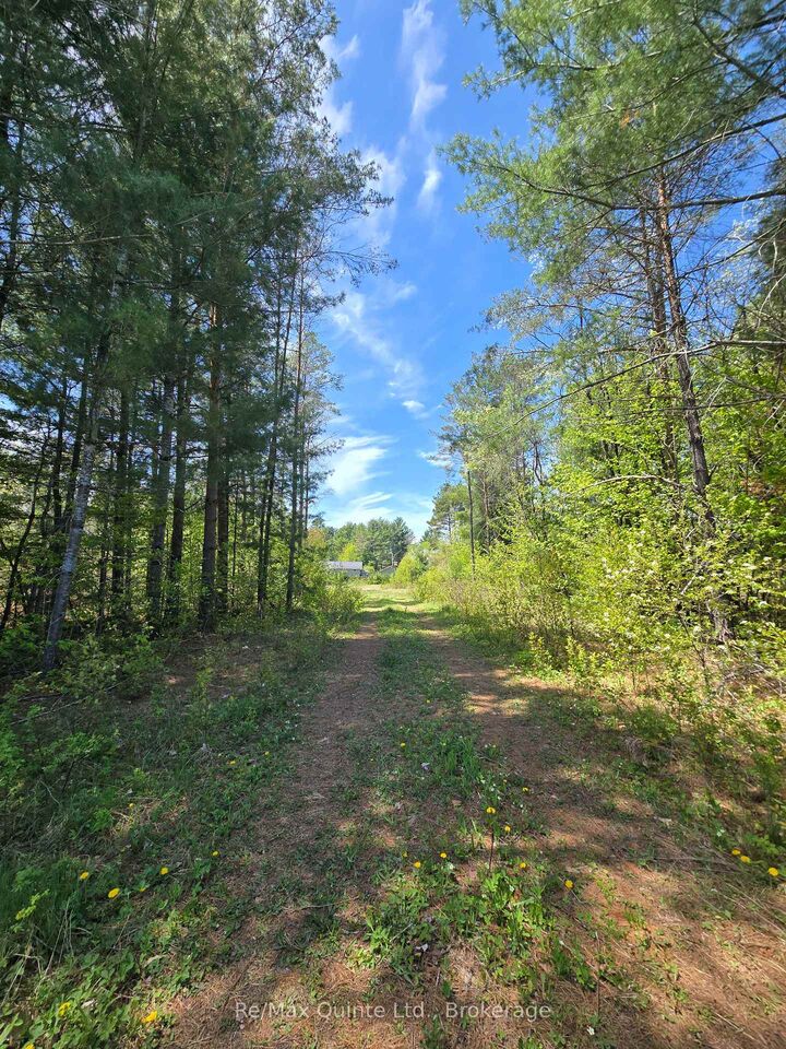 Property Photo:  127 Lloyd Street E  ON K0H 2G0 