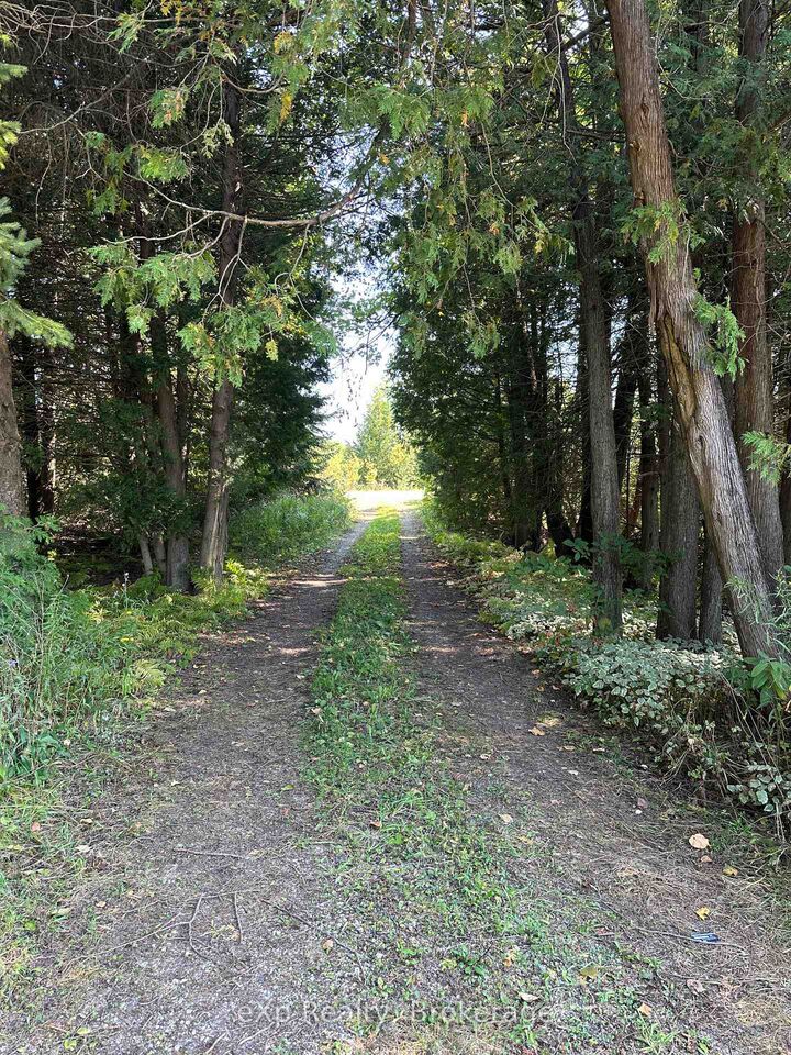 133272 Allan Park Road — photo 1
