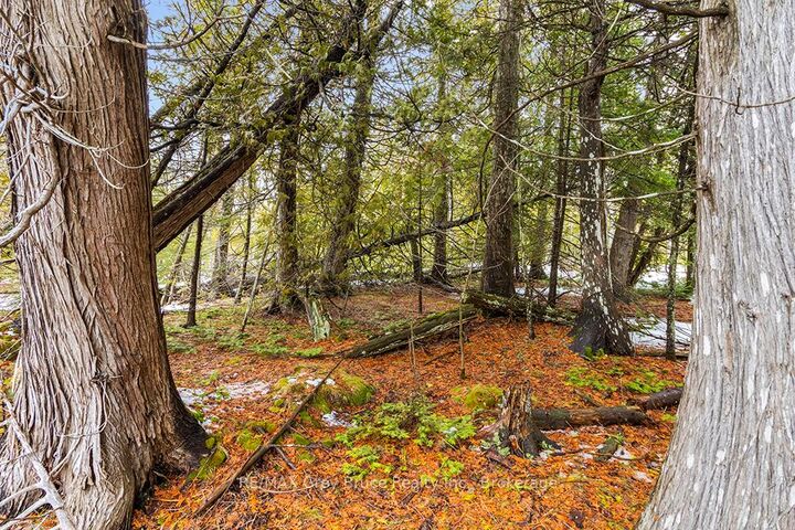 Property Photo:  Lot 43 Warner Bay Road  ON N0H 2R0 