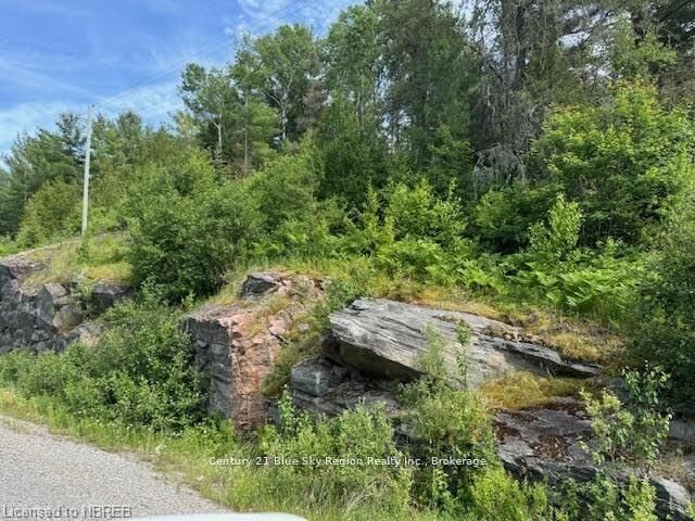 Property Photo:  Pt Lt 5 Con 5 Highway 575 N/A  ON P0H 1M0 