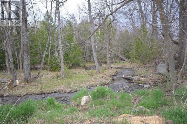 00 Flat Road — photo 1