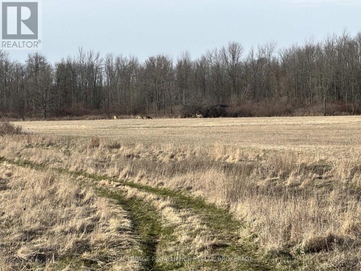 Property Photo:  68 3rd Concession Road  ON K0H 2S0 