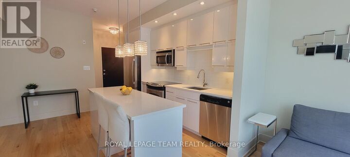 Property Photo:  101 Richmond Road 317  ON K1Z 0A6 