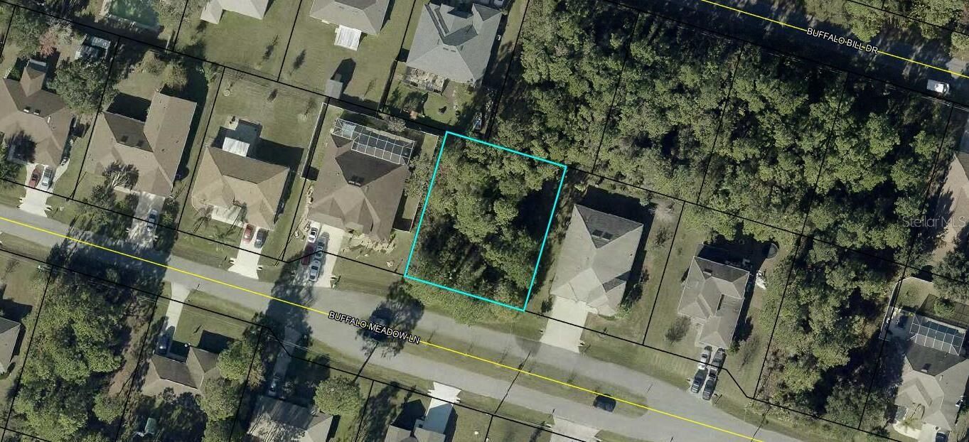 Property Photo:  16 Buffalo Meadow Lane  FL 32137 