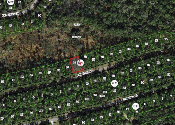 Property Photo:  737 E Byrd Loop  FL 34434 