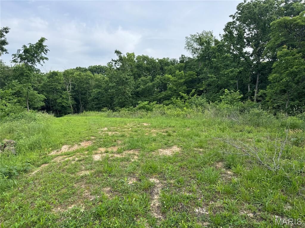 Property Photo:  Tbd Panama Avenue  IL 62077 