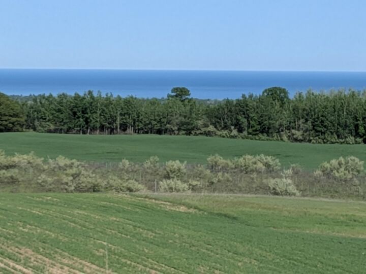 Property Photo: 3605 Pinot Point MI 49660