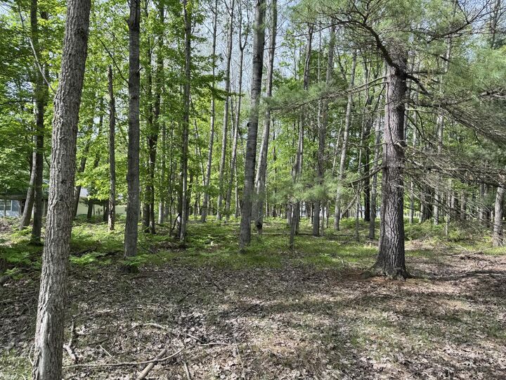 Property Photo: 9368 Clubhouse Drive W MI 49346