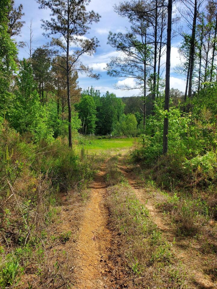 Property Photo:  95 +/- Acres Filtrol Road  MS 38848 