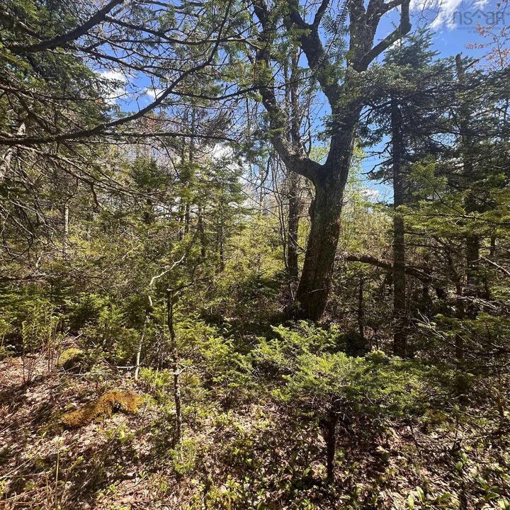 Property Photo:  Lot 16 Somerset Drive  NS B0T 1V0 