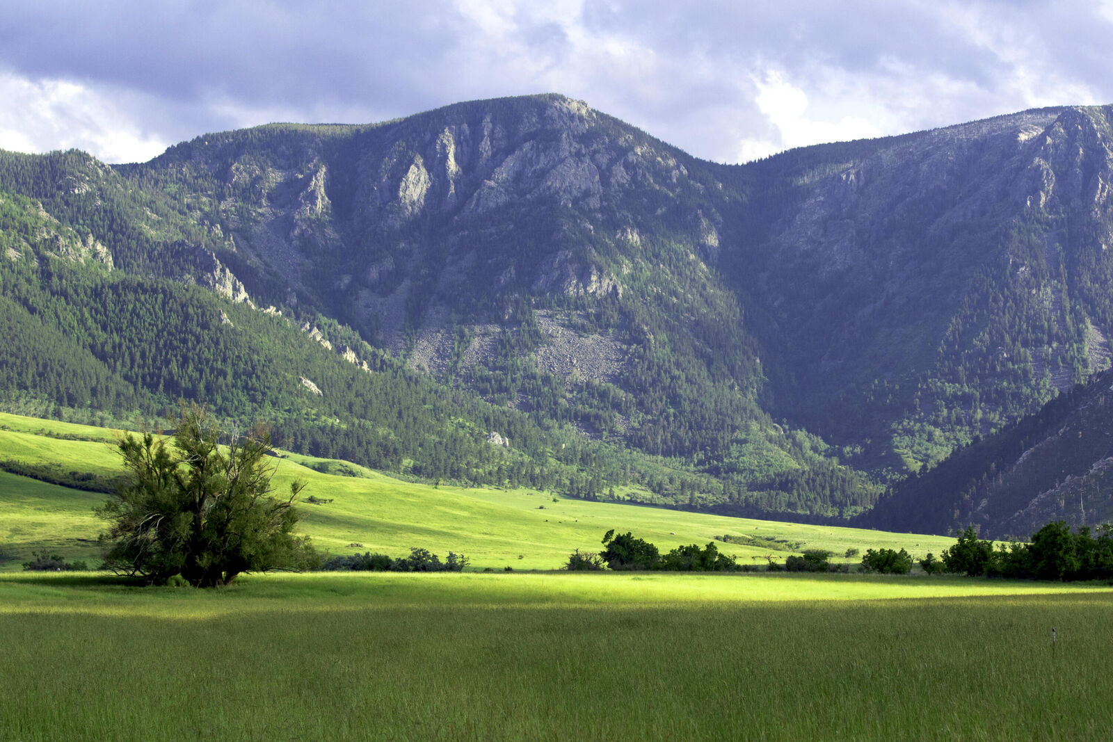 Property Photo:  Quarter Circle Lazy B Ranch  WY 82833 