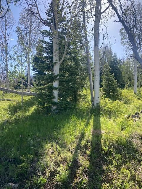 Property Photo:  271 N Whispering Pines Rd  UT 84767 