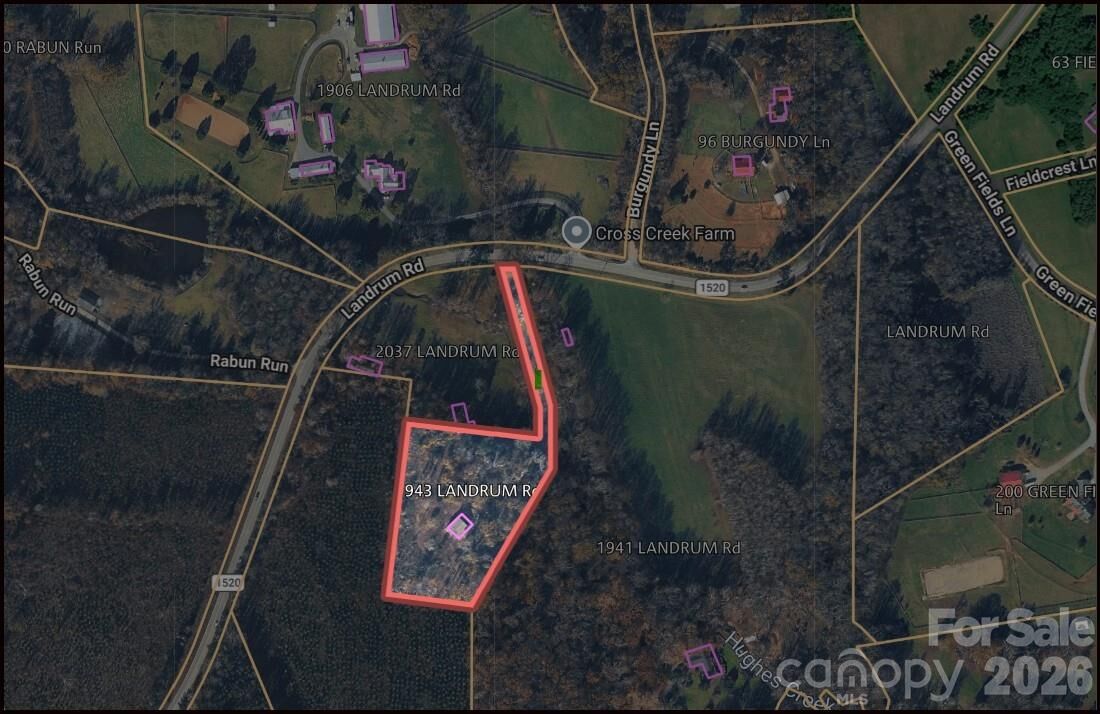Property Photo:  1943 Landrum Road  NC 28722 