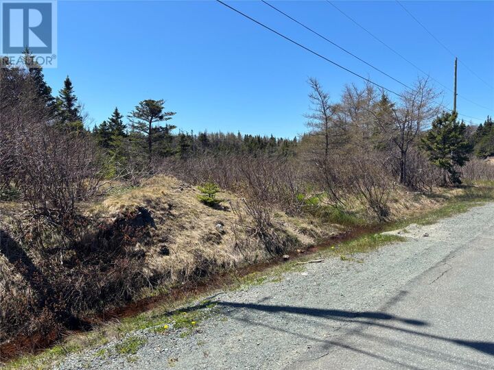 Property Photo:  19-21 Lawrence Lane  NL A0A 3L0 