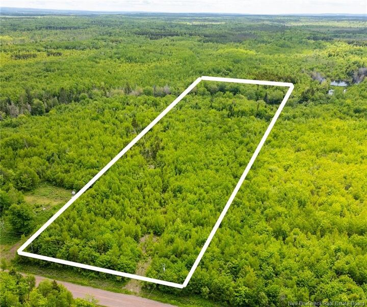 Property Photo:  214 Coburg Road  NB E4M 1M8 
