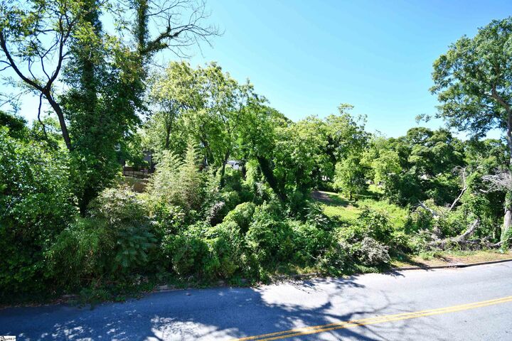 Property Photo: 101 Blythe Drive SC 29605